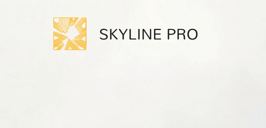 skyline009